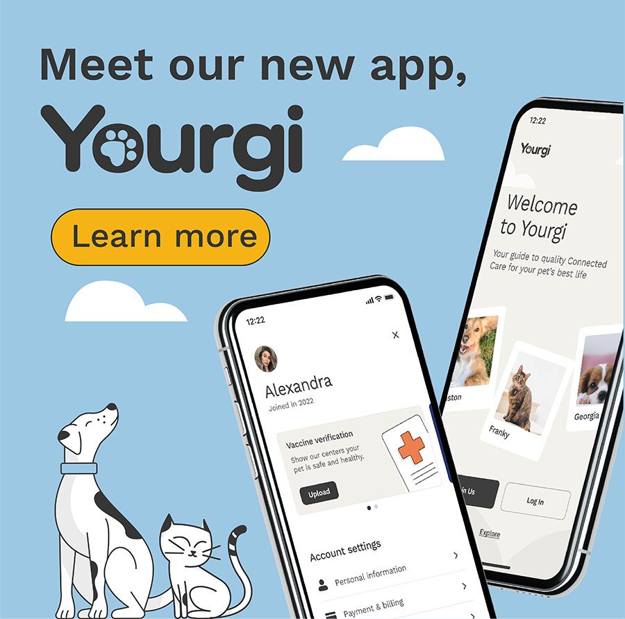 Meet our yourgi app banner